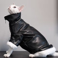 high-neck leather cat jacket