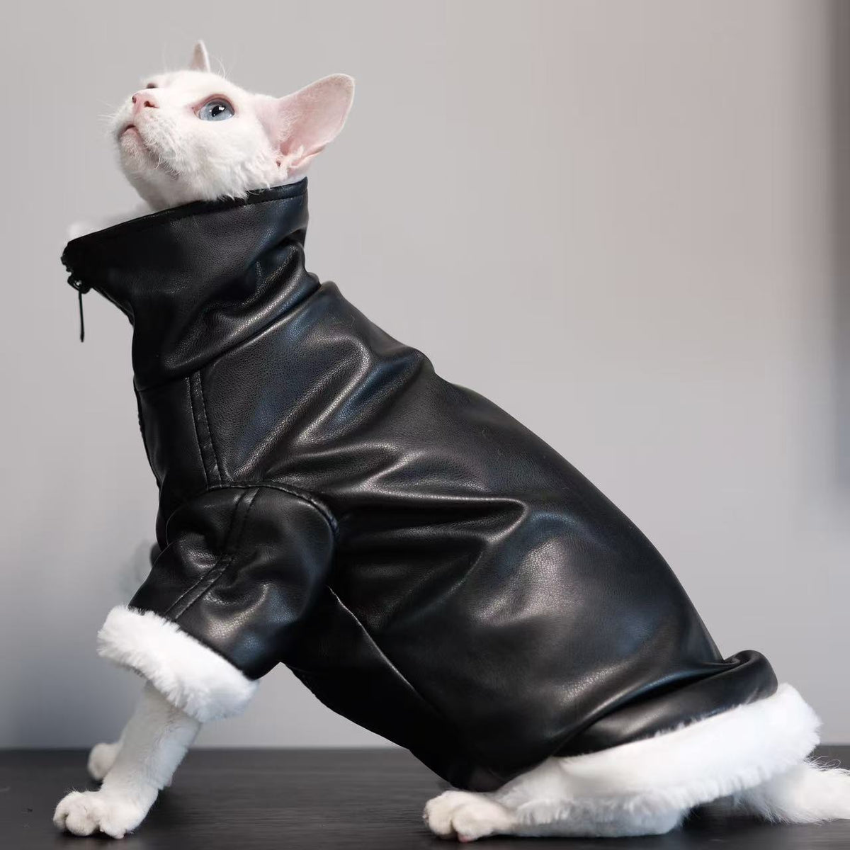 high-neck leather cat jacket
