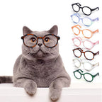 transparent cat glasses