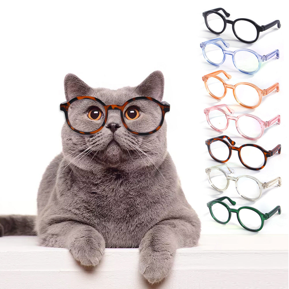 transparent cat glasses