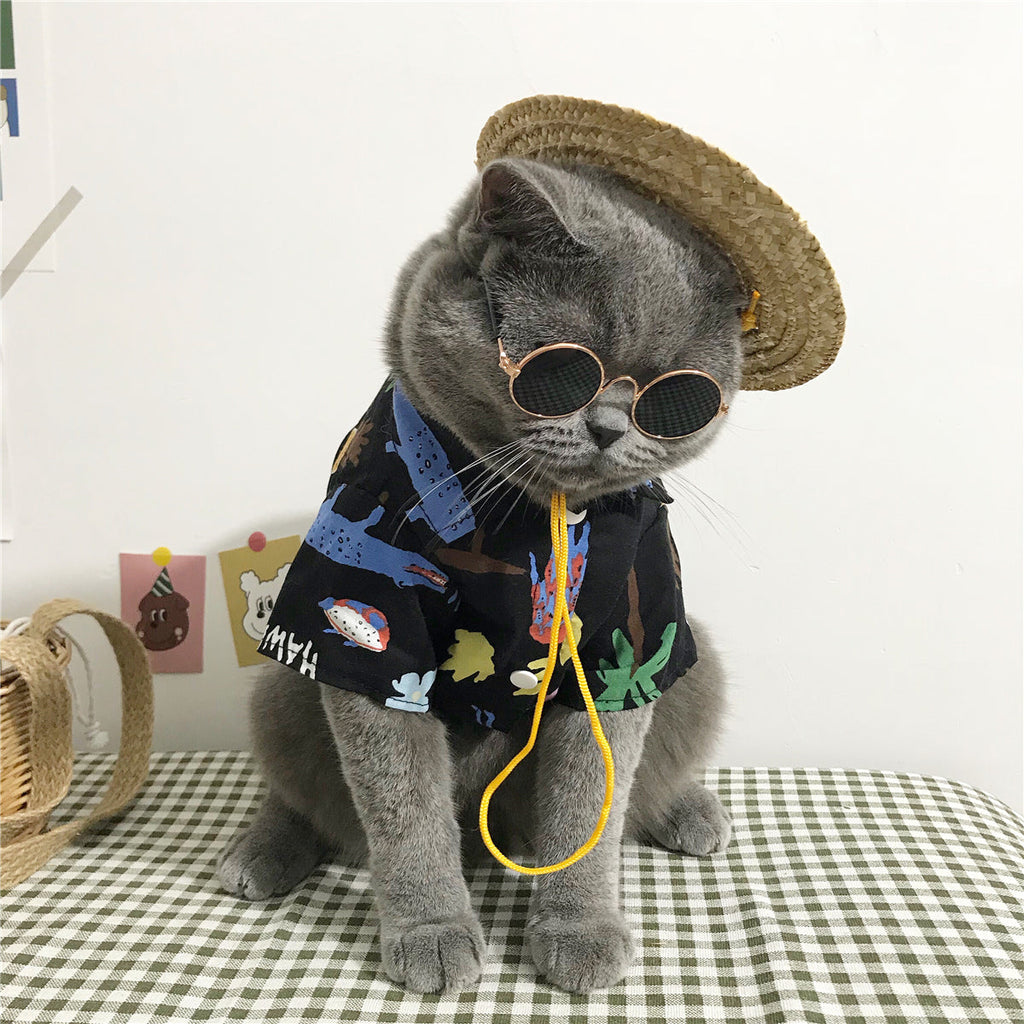 summer cat outfit
