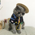 summer cat outfit
