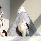 mountain cat nest