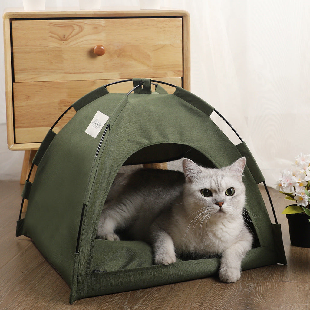 cat canvas tent bed
