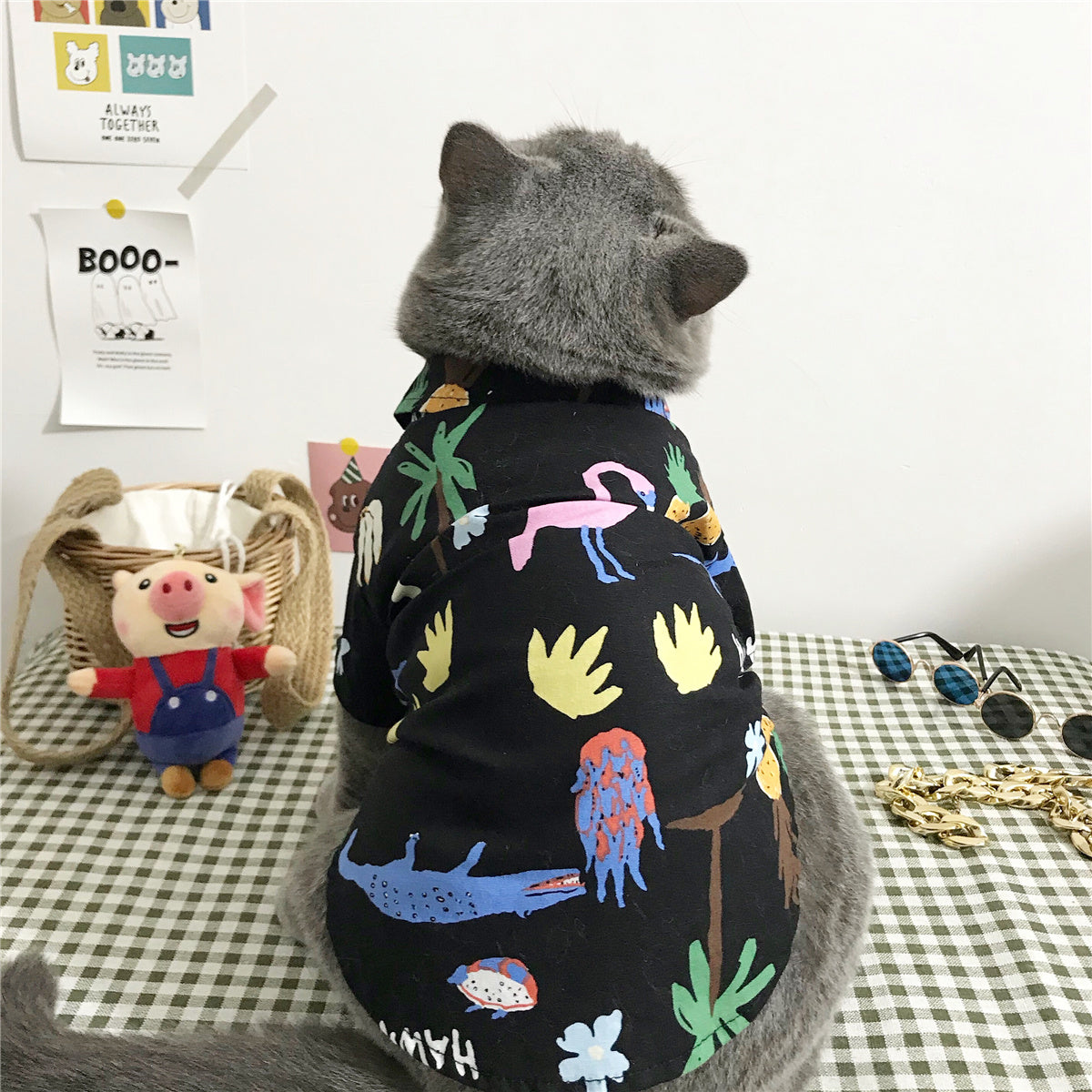 summer cat outfit