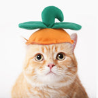 silly silly hats