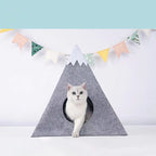 mountain cat nest