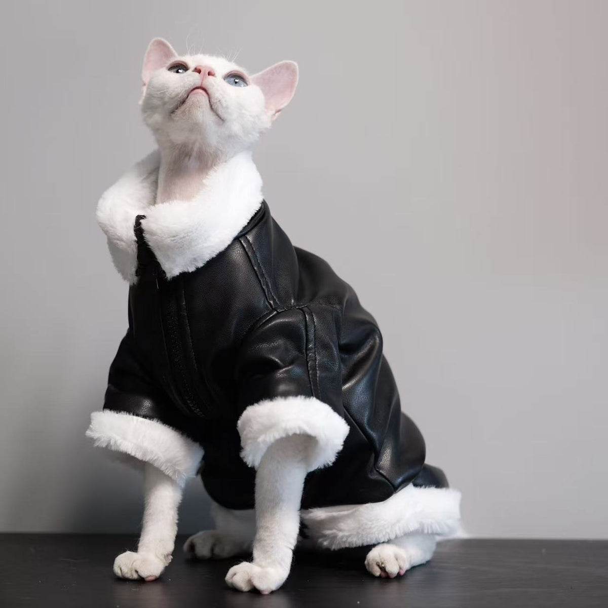 high-neck leather cat jacket