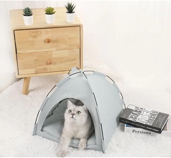 cat canvas tent bed