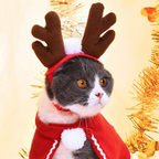 silly silly hats