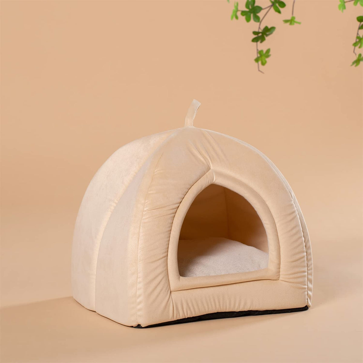 cat tent bed