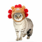 silly silly hats
