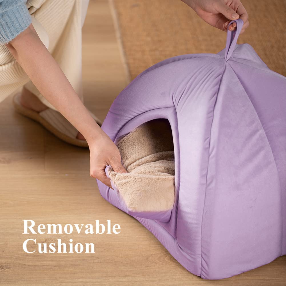 cat tent bed