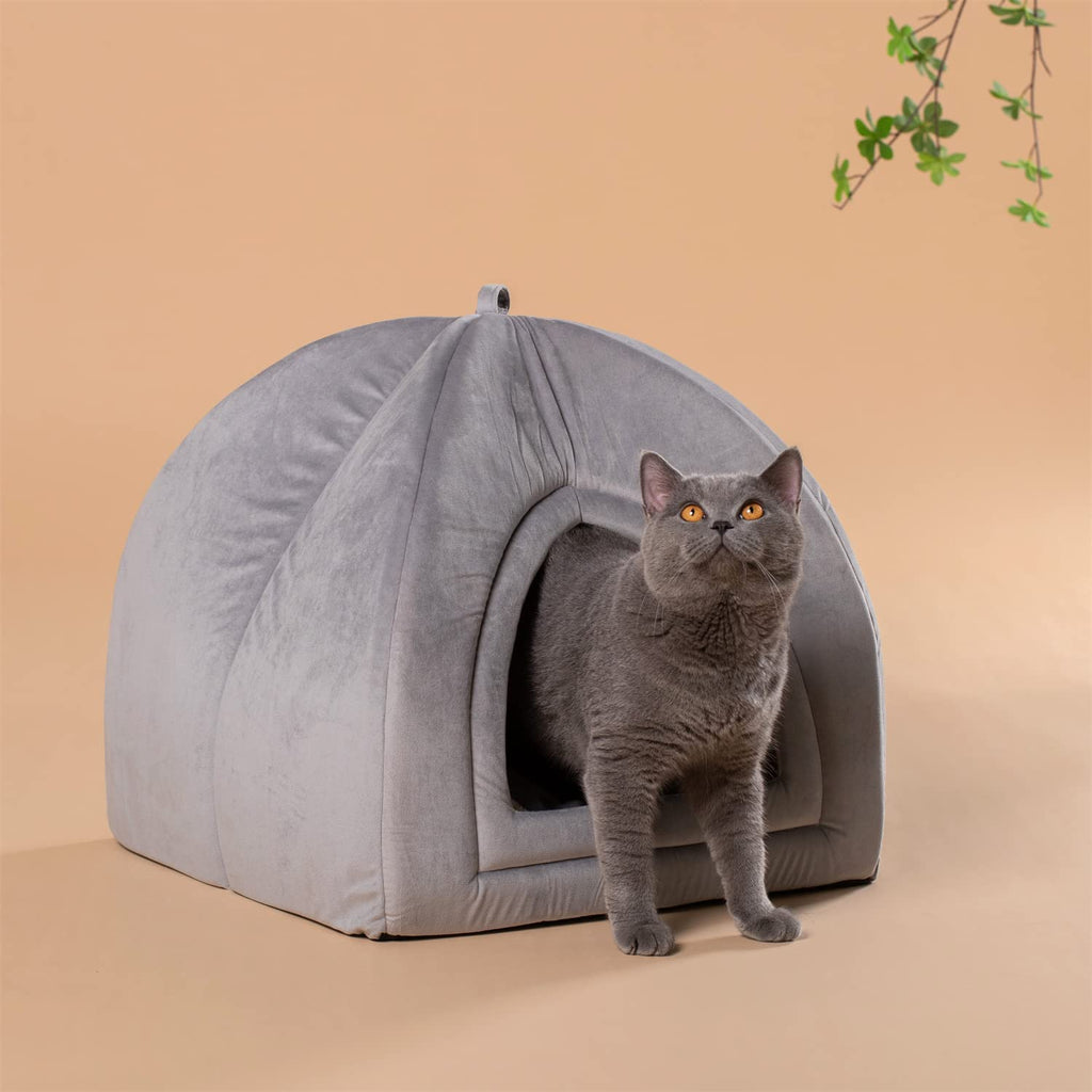 cat tent bed