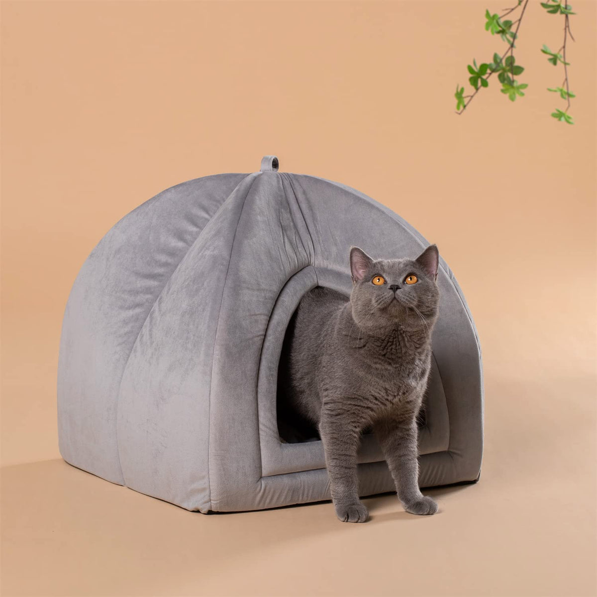 cat tent bed