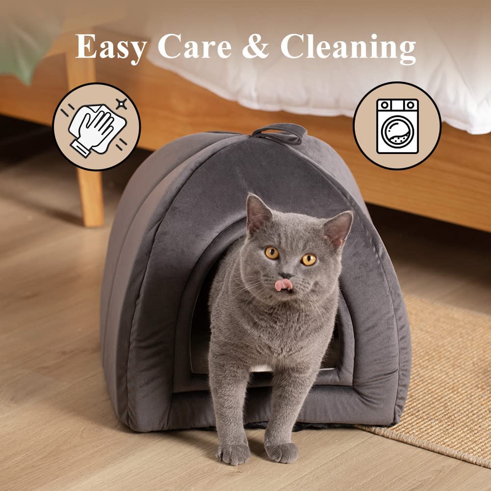 cat tent bed