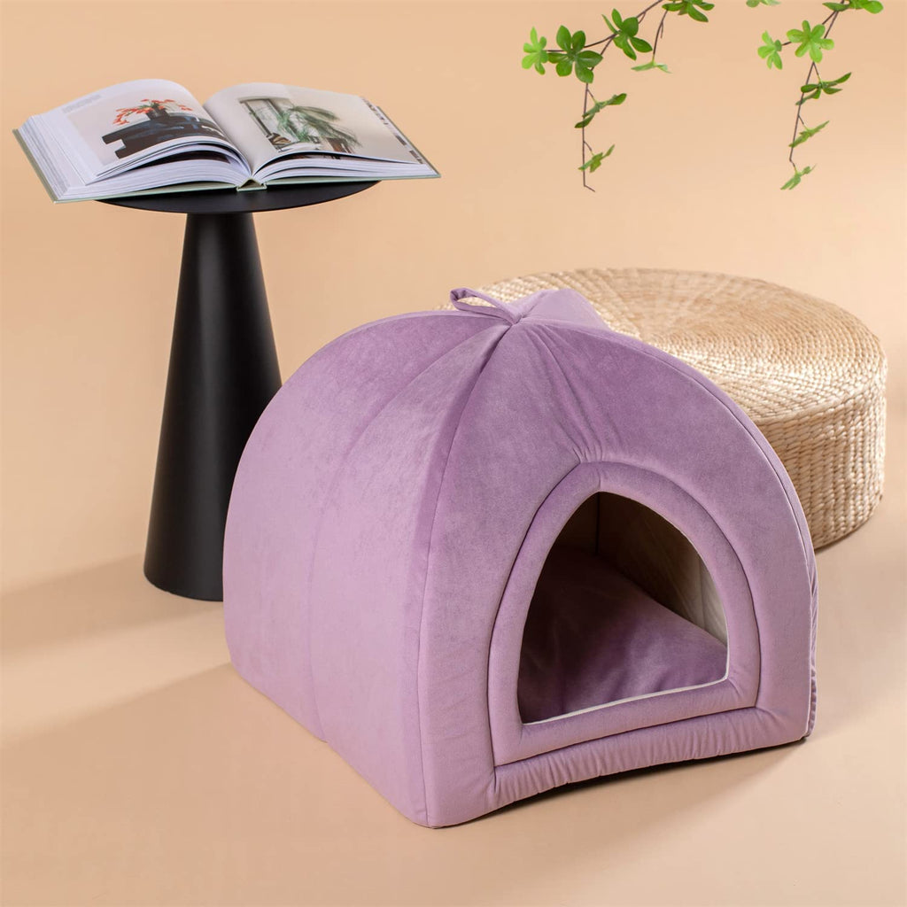 cat tent bed