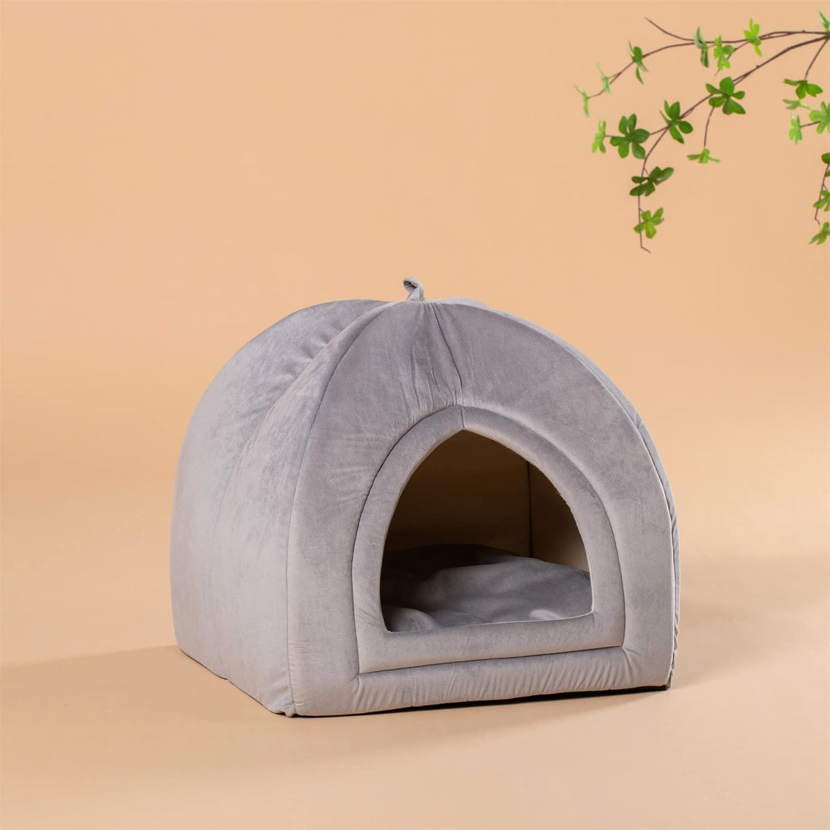 cat tent bed