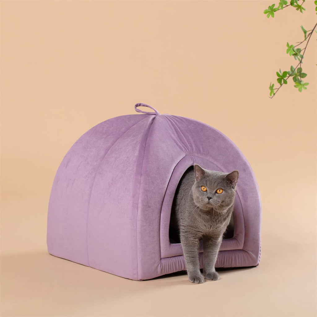 cat tent bed