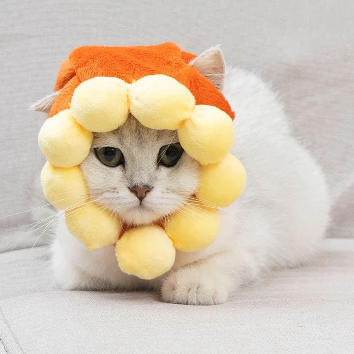silly silly hats