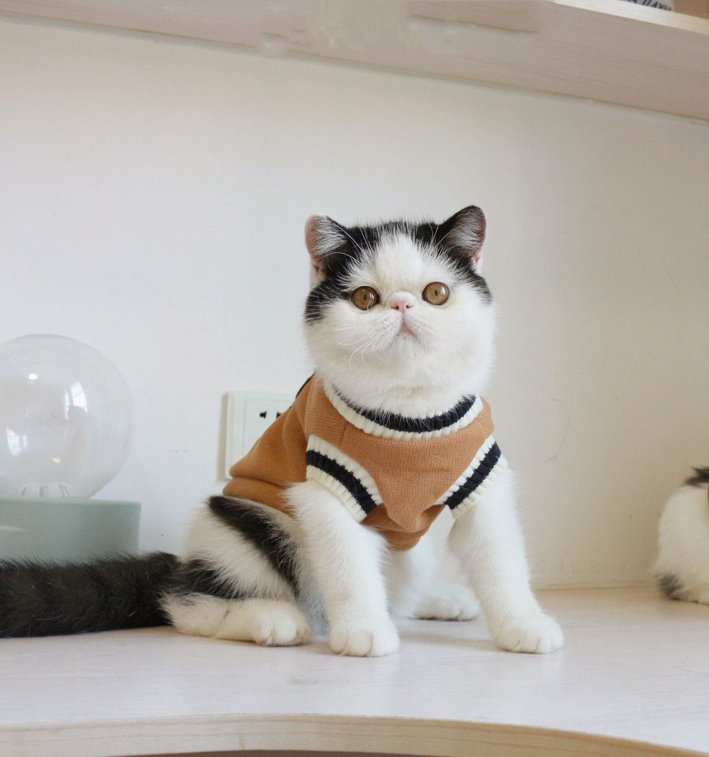 outdoor cat vest