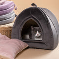 cat tent bed