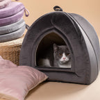 cat tent bed