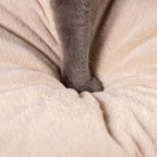 cat tent bed