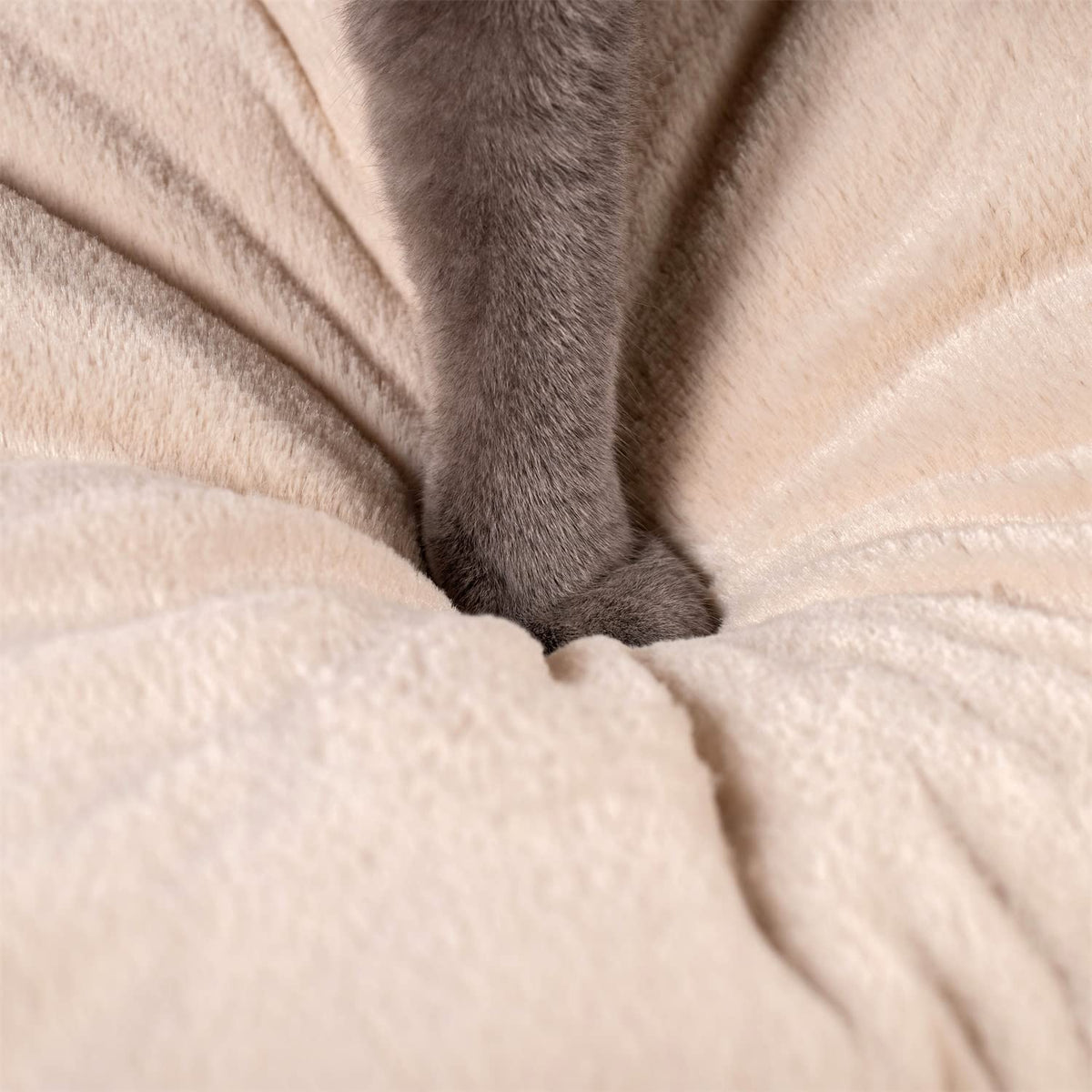 cat tent bed