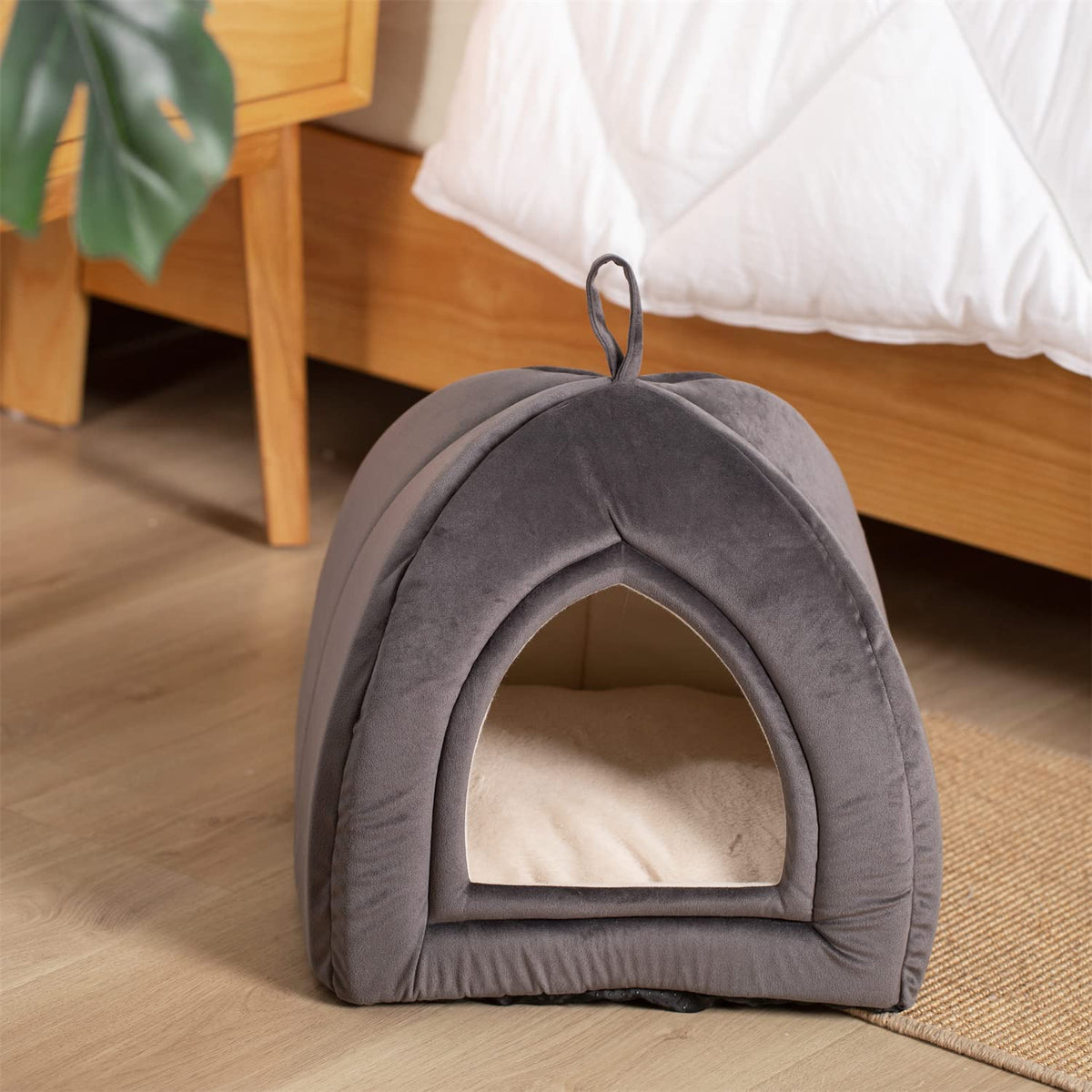cat tent bed