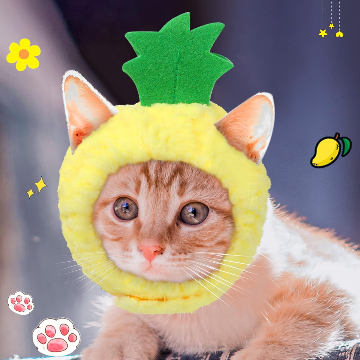 silly silly hats