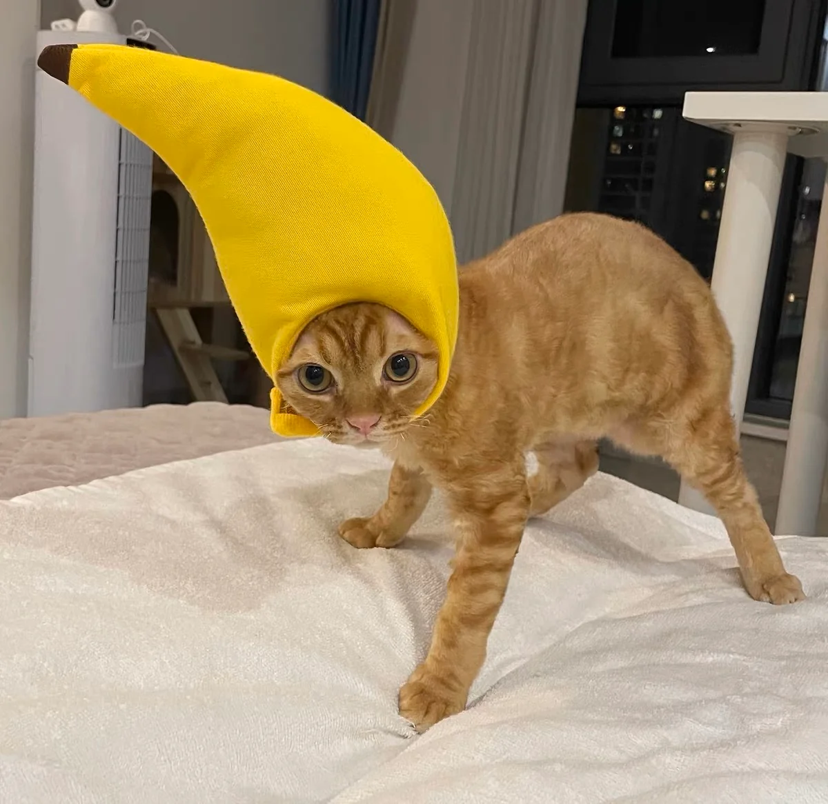 silly silly hats