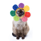 silly silly hats
