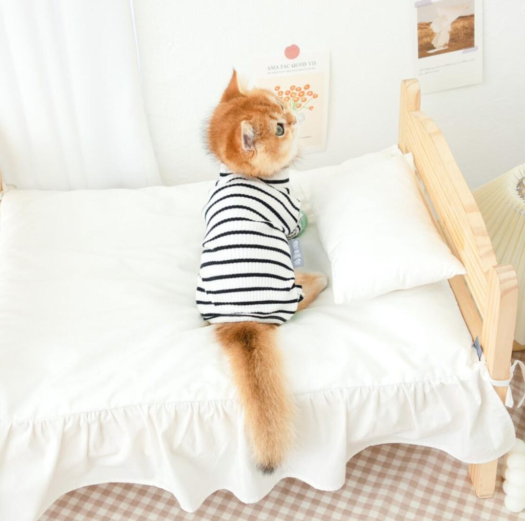 soft cat pajamas