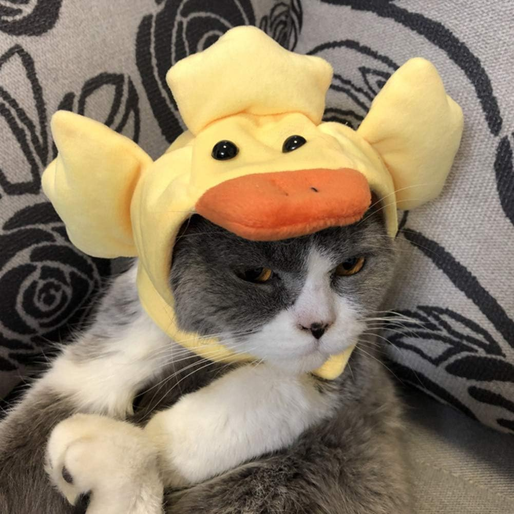 silly silly hats
