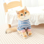 soft cat pajamas
