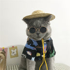 summer cat outfit