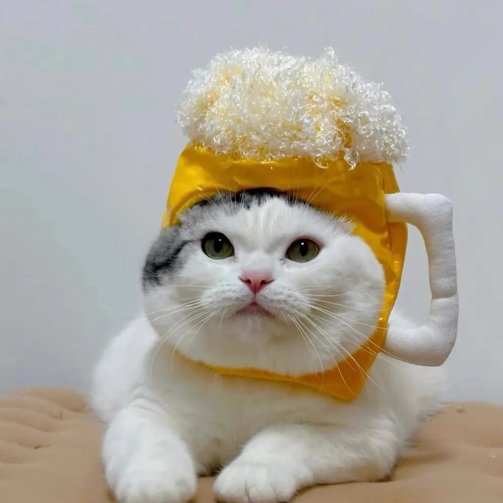 silly silly hats