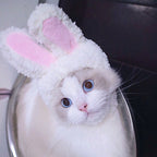 silly silly hats