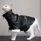 high-neck leather cat jacket