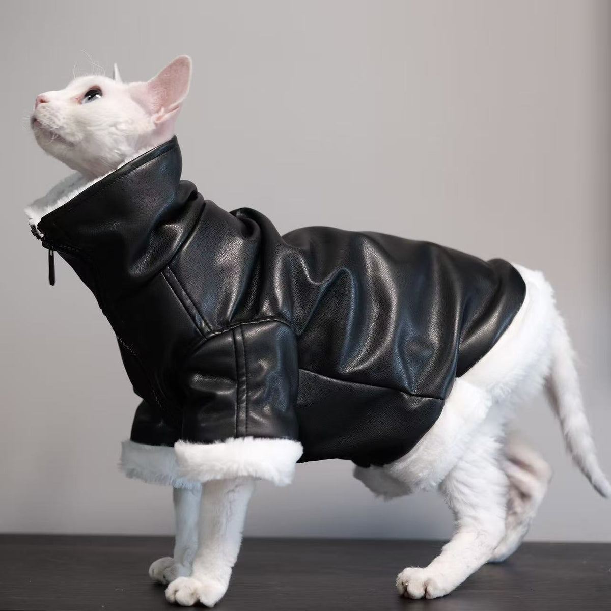 high-neck leather cat jacket