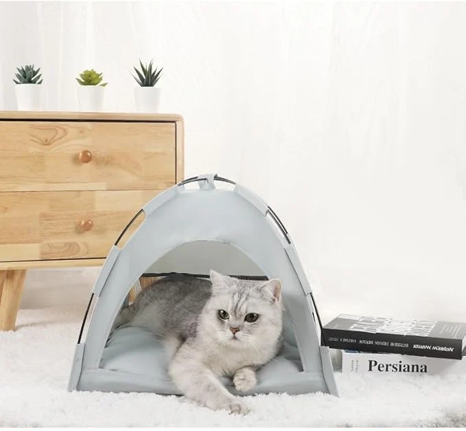 cat canvas tent bed
