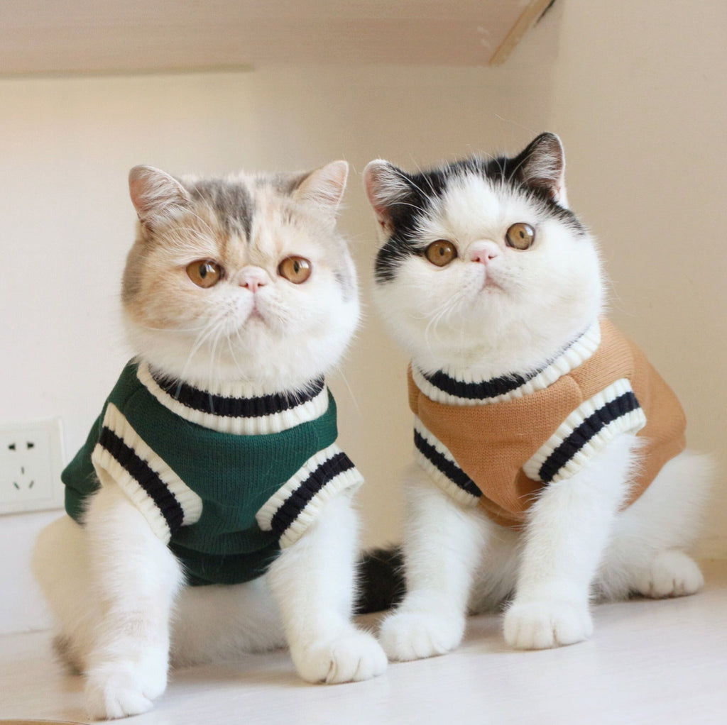 outdoor cat vest