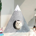 mountain cat nest