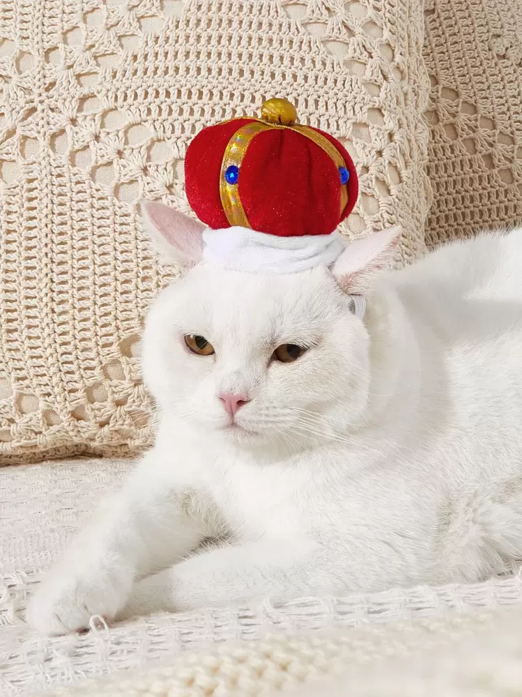 silly silly hats