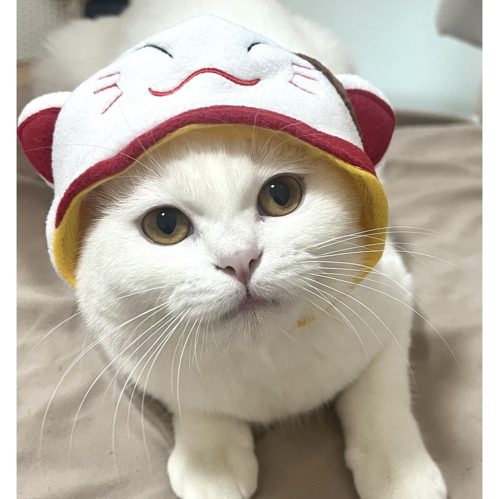 silly silly hats