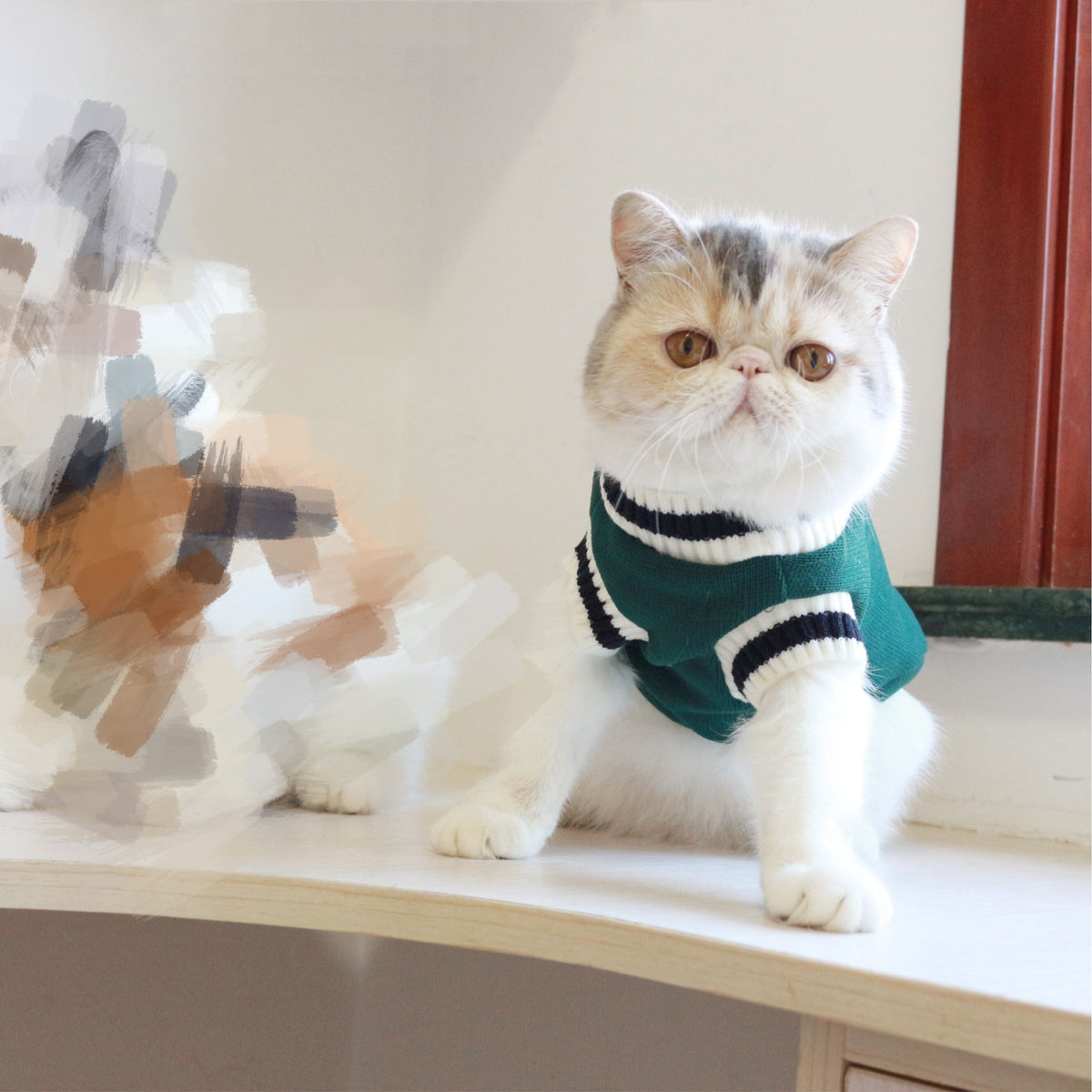 outdoor cat vest