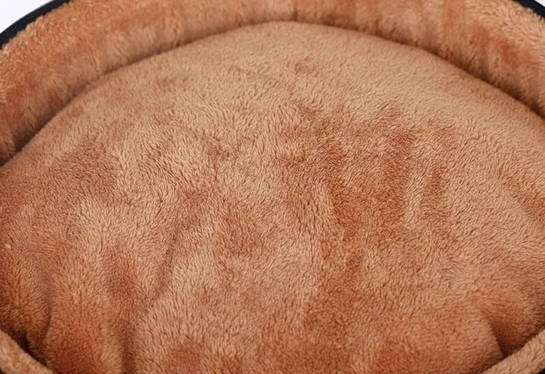 cat's nest cave