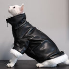 high-neck leather cat jacket